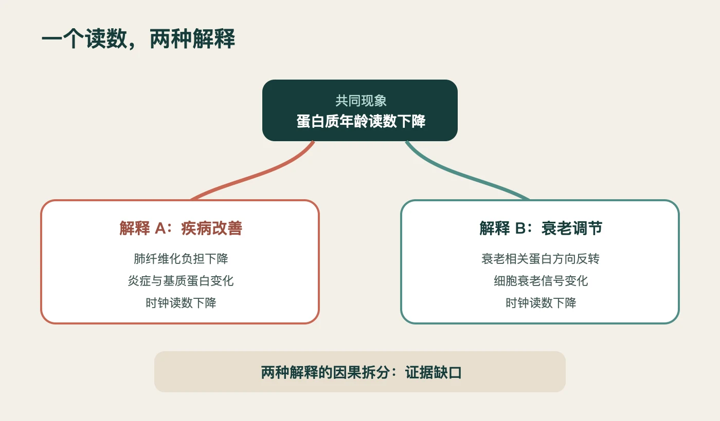疾病改善与衰老调节的证据边界